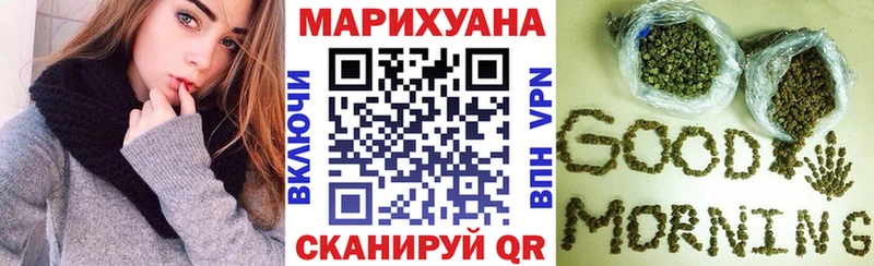 продажа наркотиков  МЕГА маркетплейс  Бошки Шишки конопля  Искитим 